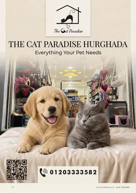 The Cat Paradise Hurghada: Wie abgedruckt